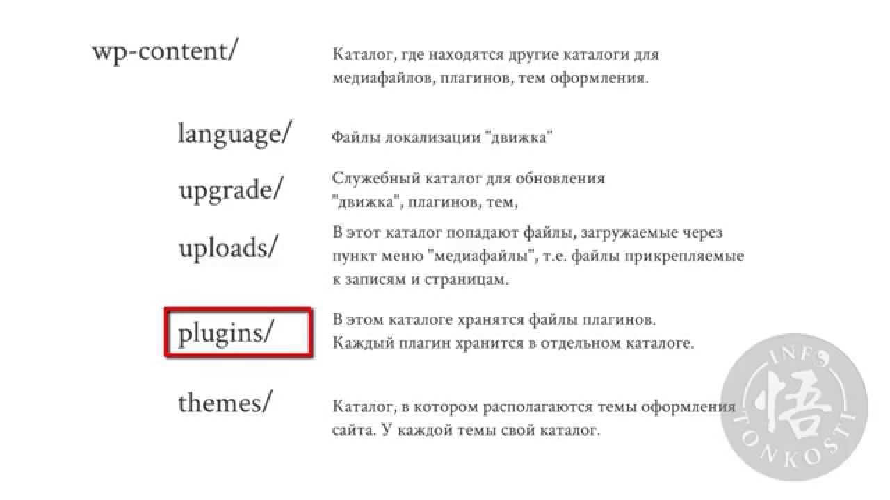 6.1 Файловая структура движка WordPress.