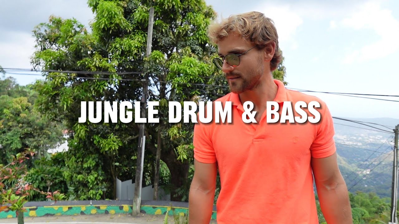 Jungle Drum & Bass Mix #drumandbass #edm #dancehall #bashment #reggae #jungle