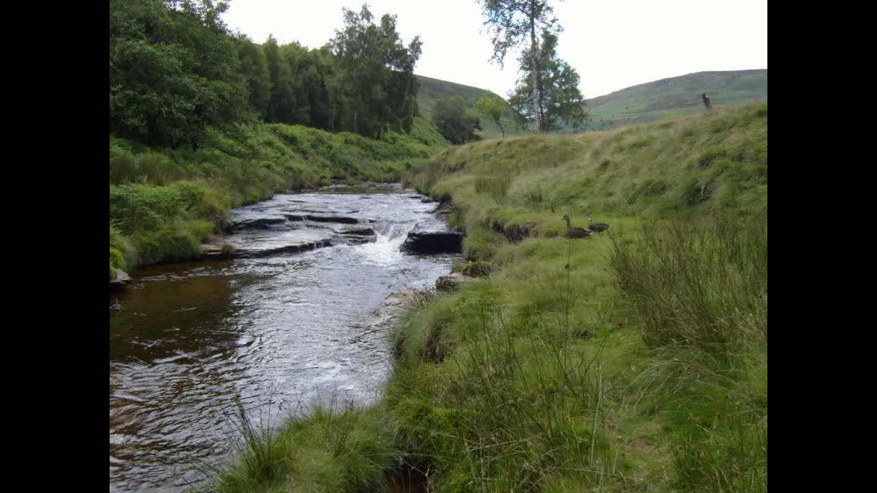 Howden Res Harden Moss Tues 15 July 09