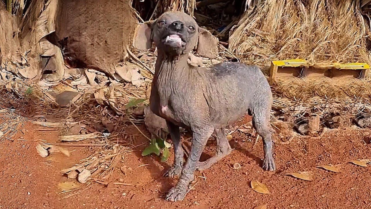 hid her pain inside and kept smiling at everyone hoping someone would help her, but they ignored her