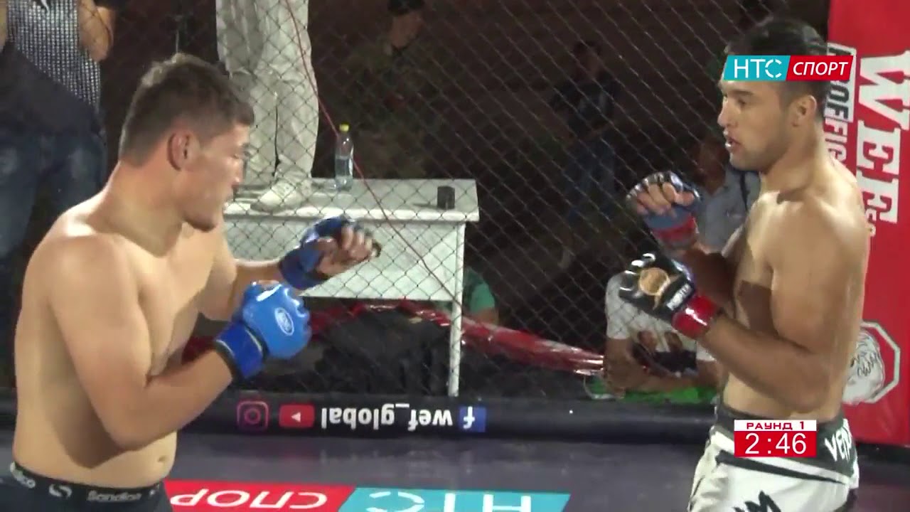 WEF PROFFIGHT 24     12 🇰🇬 Таалайбек уулу Адис против  Газихонова Кодирхона 🇺🇿 84кг