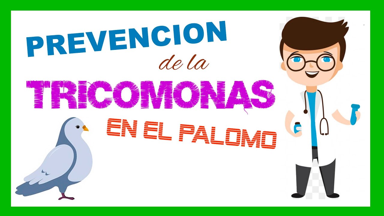 PREVENCION de la TRICOMONA en el PALOMO