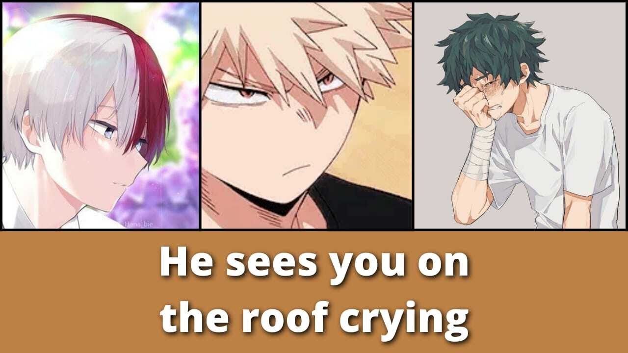 He sees you on the roof sobbing - [Grab your tissues]