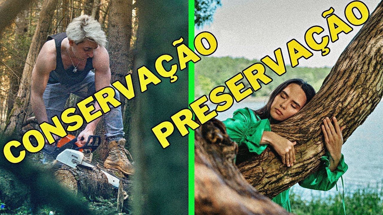 [ATUALIZADO] -  QUAL A DIFEREN&Ccedil;A ENTRE PRESERVA&Ccedil;&Atilde;O E CONSERVA&Ccedil;&Atilde;O?