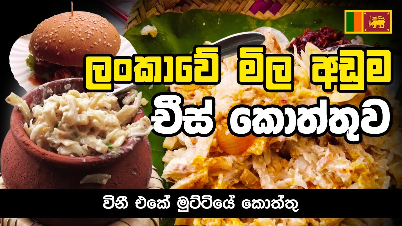 Day 10 : vini restaurant | විනී එකෙන් රු.590ට චීස් කොත්තු with days of isha@viniproductionsofficial​