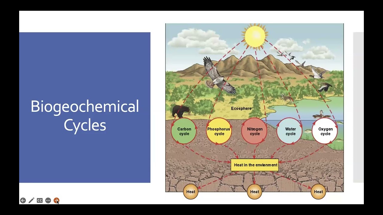 Intro to Earth Lect 1