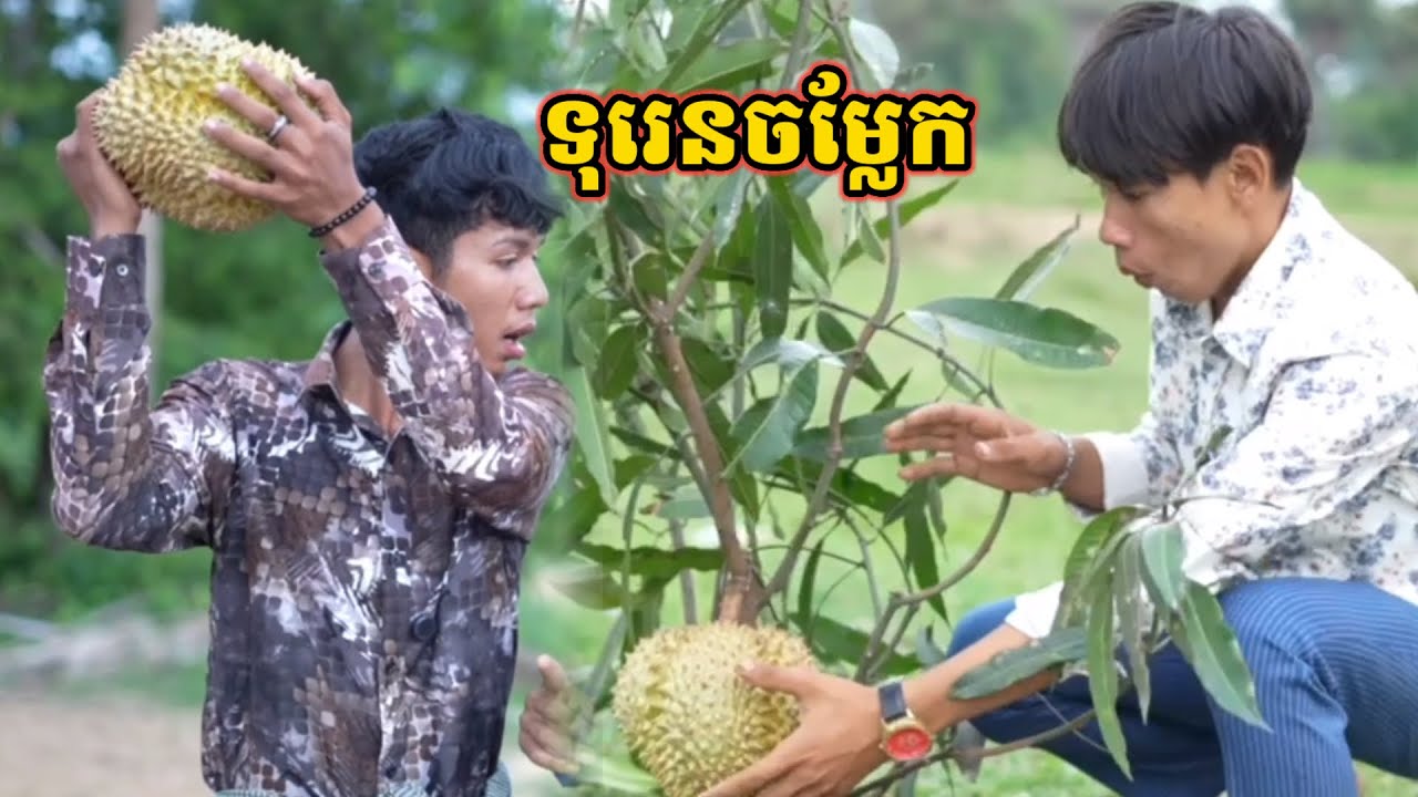 រឿង ទុរេនចម្លែក