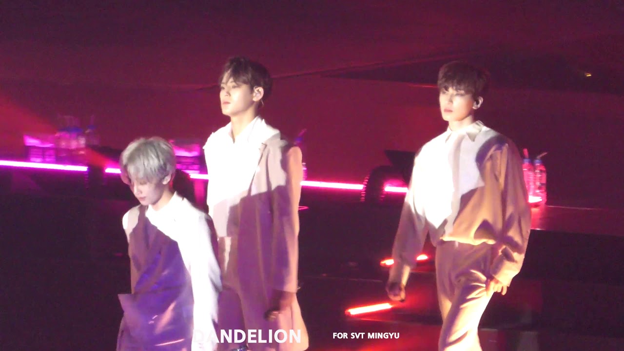 [4K] 190406 HARU IN SIZUOKA 빠른걸음 민규 직캠 / MINGYU FOCUS