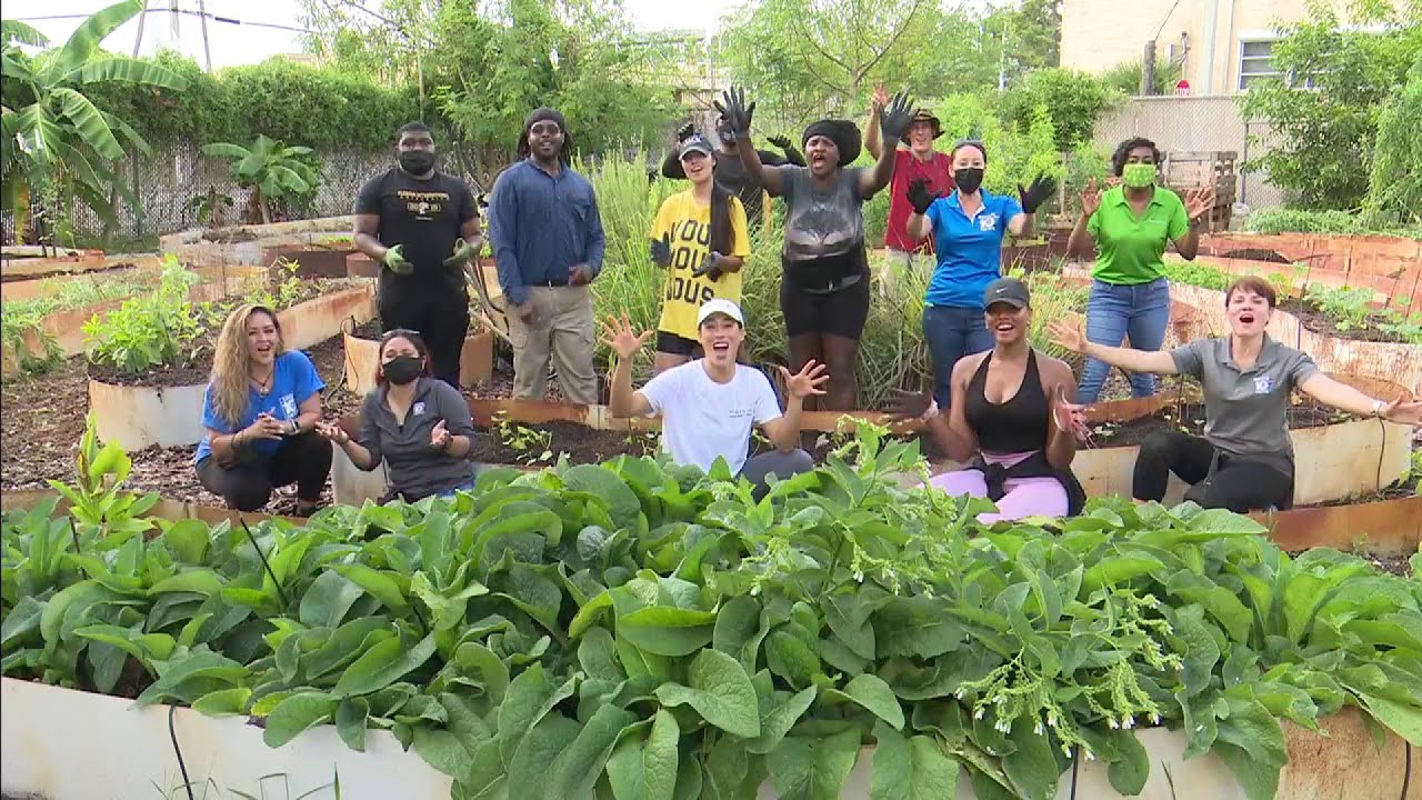 Nonprofit turns food deserts into beautiful fruit and vegetable gardens