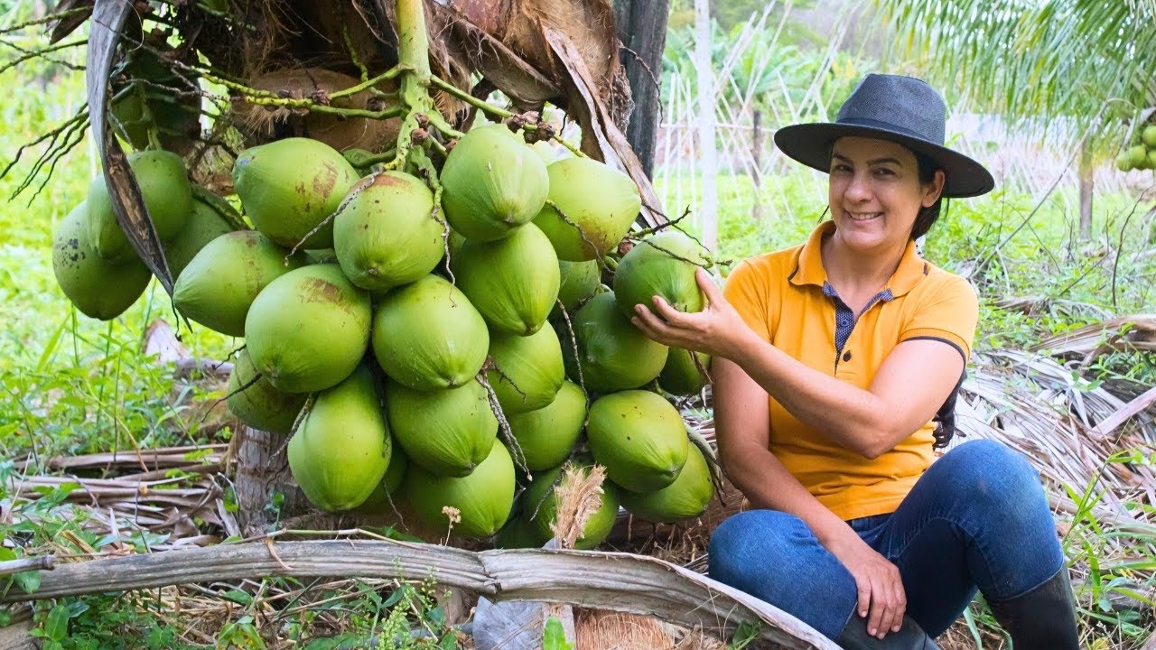 Bora fazer um tour pela roça e colher cocos para receitas de natal