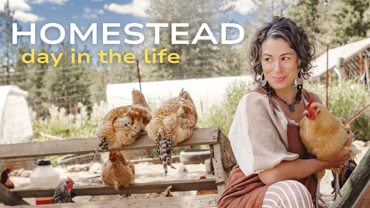 Homesteading And Homeschooling DAY IN THE LIFE | Homemaking