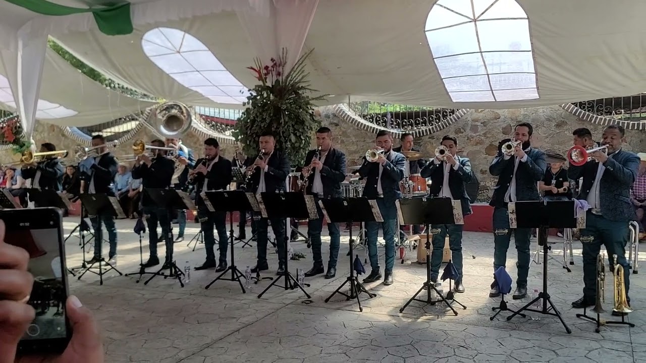 DRAGON BALL Z || BANDA JOROCHES LA GRANDE