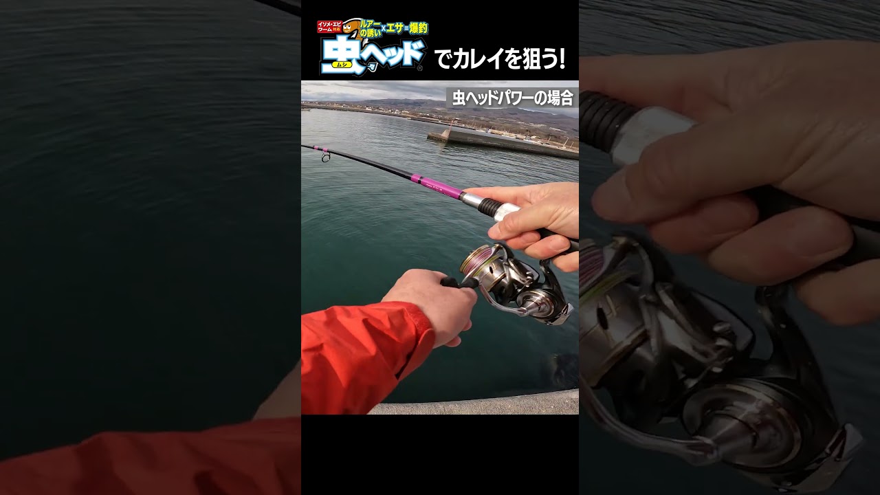 虫ヘッド釣法でカレイを狙う#カレイ釣り #虫ヘッド #shorts