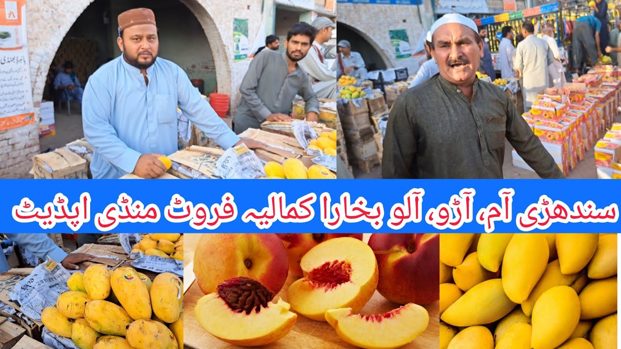 Fruit mandi kamalia | Sindhi mango rate | Today mango market price |سندھڑی آم کا ریٹ| آلو بخارا ریٹ