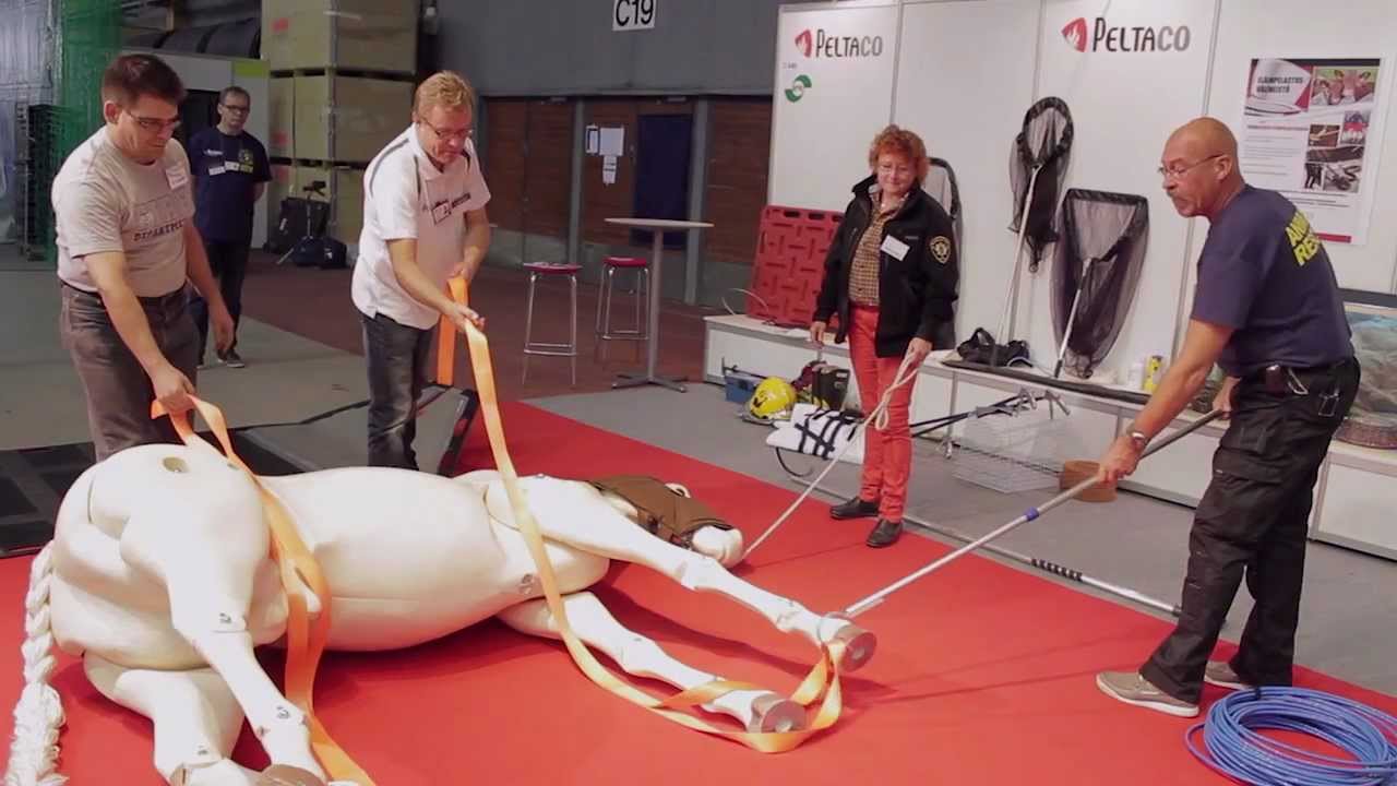 Hevosen pelastaminen hätätilanteessa