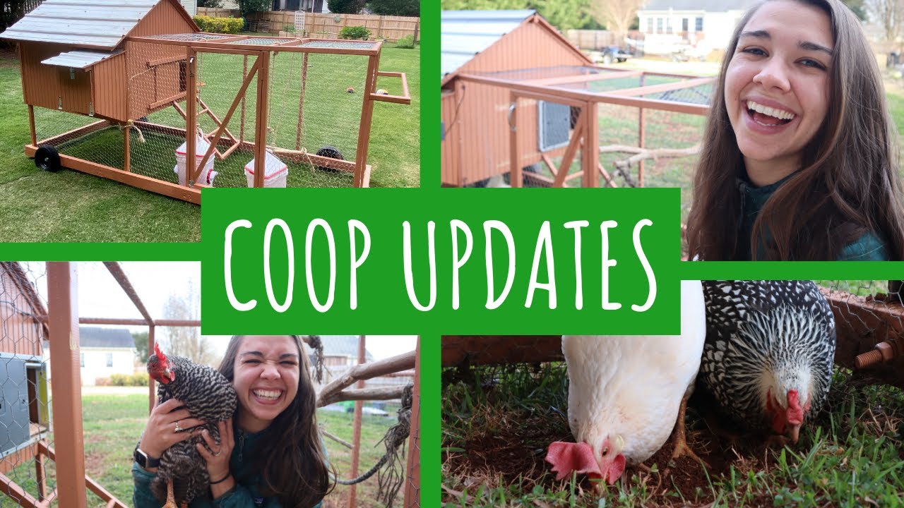 How to BUILD the PERFECT MOBILE CHICKEN COOP Part 2: Coop Updates and Improvements