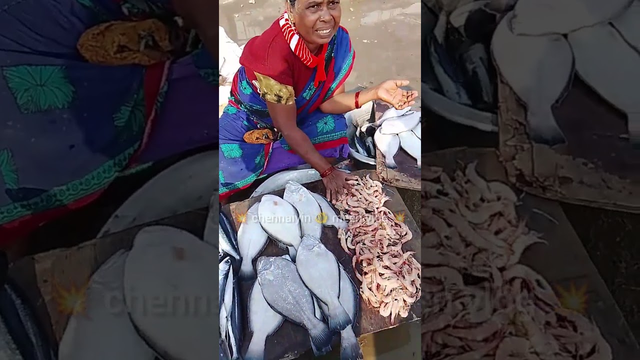 💁kasimedu fish market🐠#fish #chennaiyinmeenvlog#kasimedu #viral#kasimedufishmarket#trending#fishing 