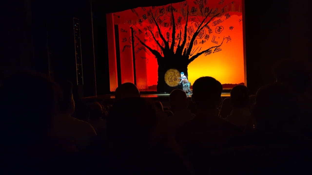 The Lion King Broadway first half pt 1