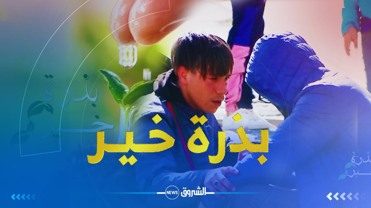 التجربة الإجتماعية | بذرة خير| في مشاهد مؤثرة جدا ..شاهد كيف تعامل الجزائريين مع كريم البائع المتجول