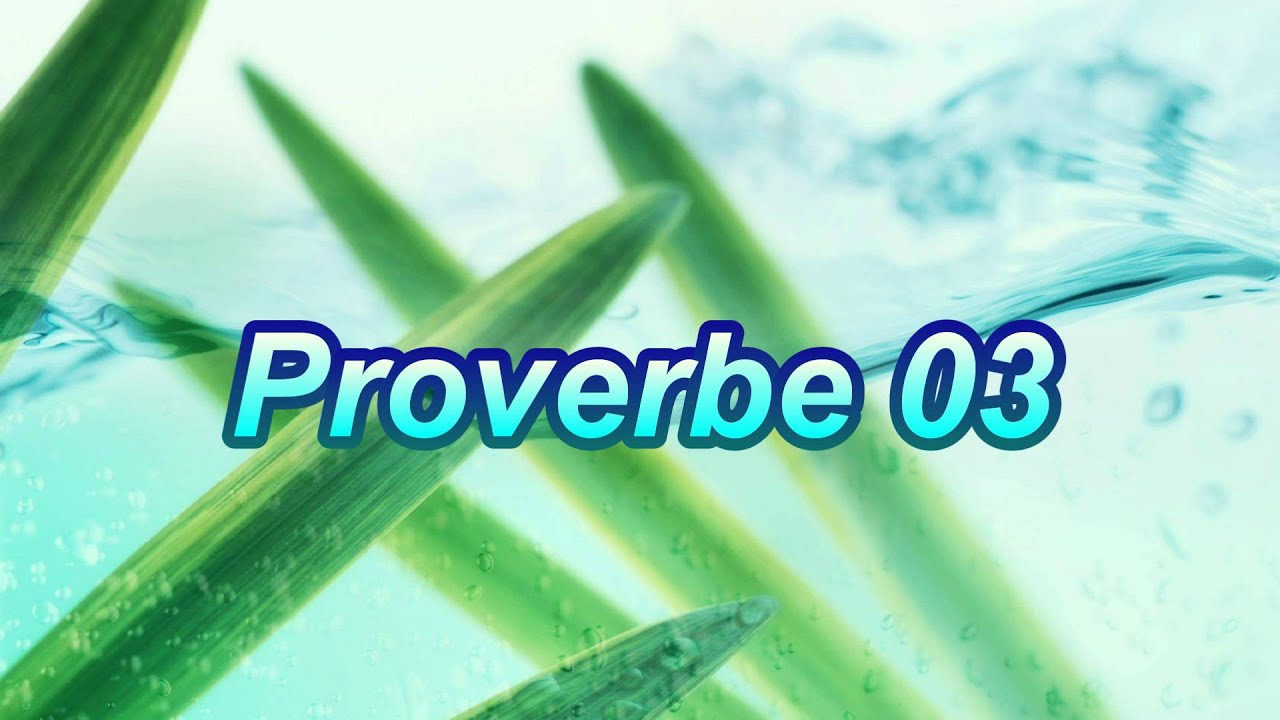 Proverbe 03