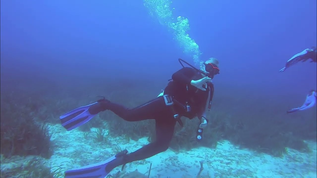 Cyprus Diving, Zenobia, July 2022