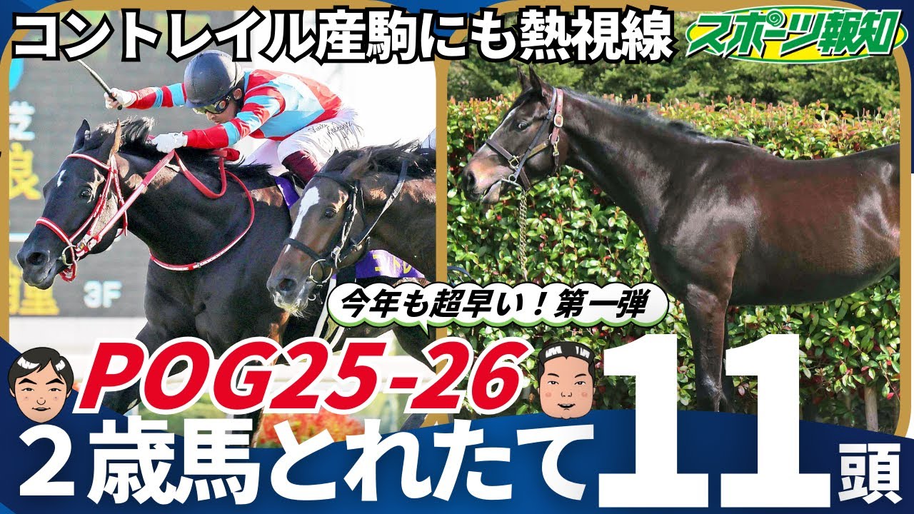 【POG情報2025-26】友道＆斉藤崇厩舎のキタサンブラック産駒が熱い！国枝厩舎には「世界一ホース」の妹も