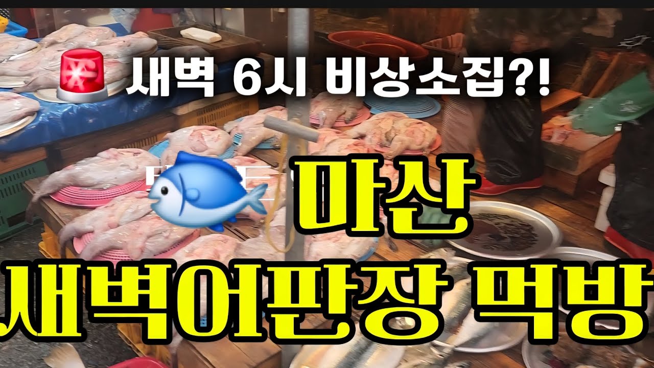 🚨 새벽 6시, 비상벨 소집 후 갑자기 간 마산 합포구 새벽어판장 먹방 (고등, 전복, 막걸리)