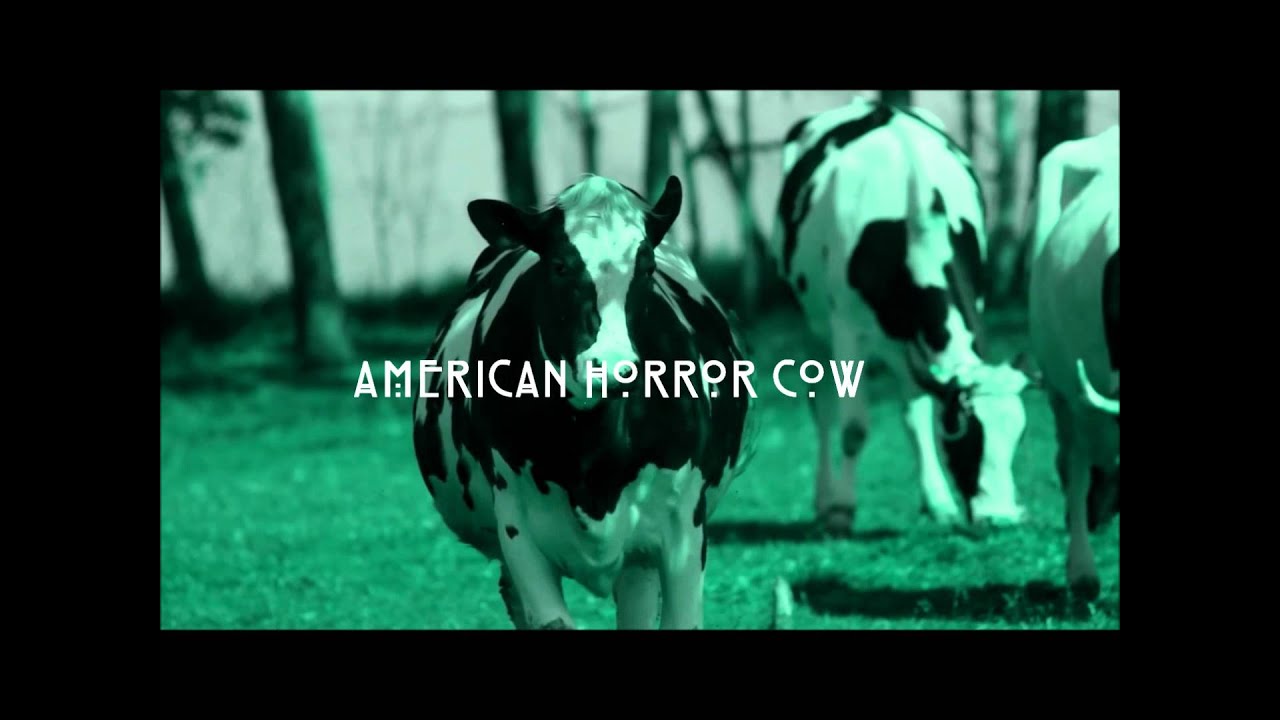 AMERICAN HORROR COW
