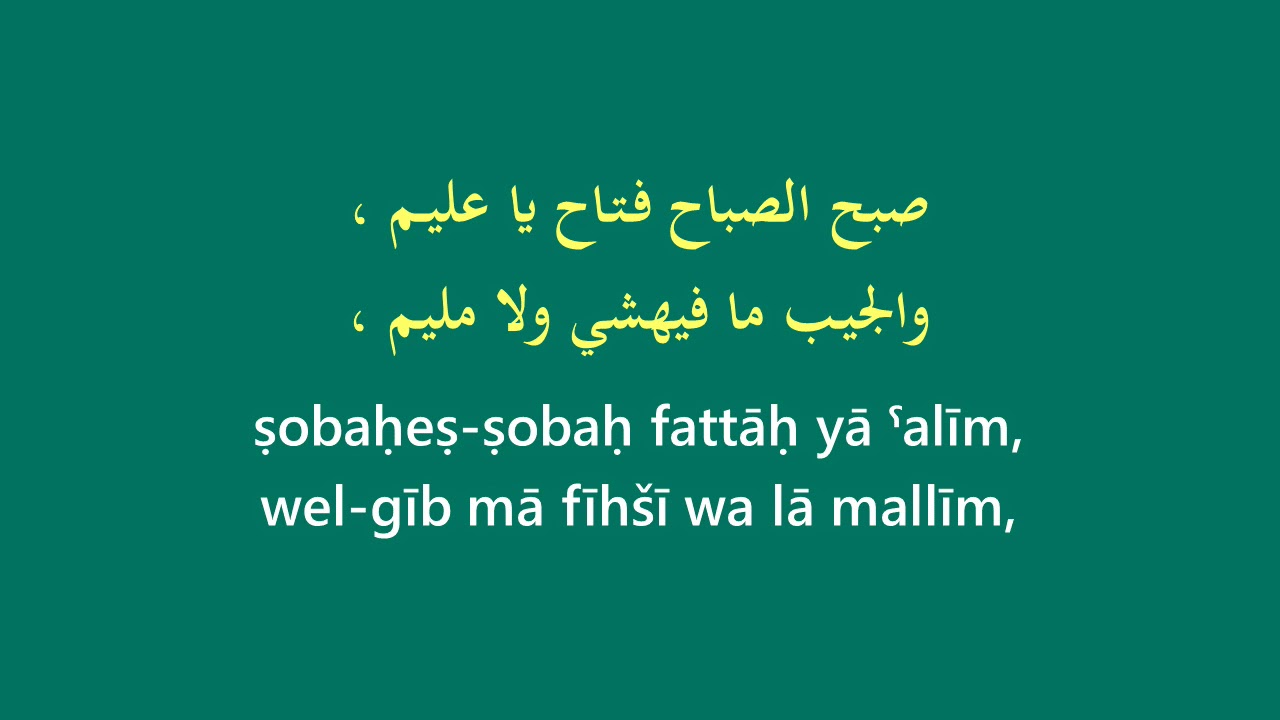 Dania: el Hilwa Di الحلوة دي {karaoke, men lower key}