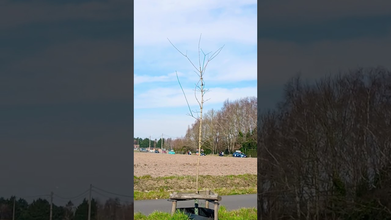 Wielerwedstrijd in Torhout 🚴🚴🚴🚴🚴🚴🚴🚴🚴