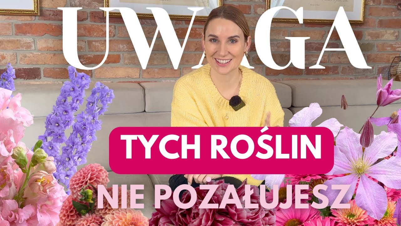 11 DŁUGO KWITNĄCYCH ROŚLIN, KTÓRYCH NIE ŻAŁUJĘ W OGRODZIE 