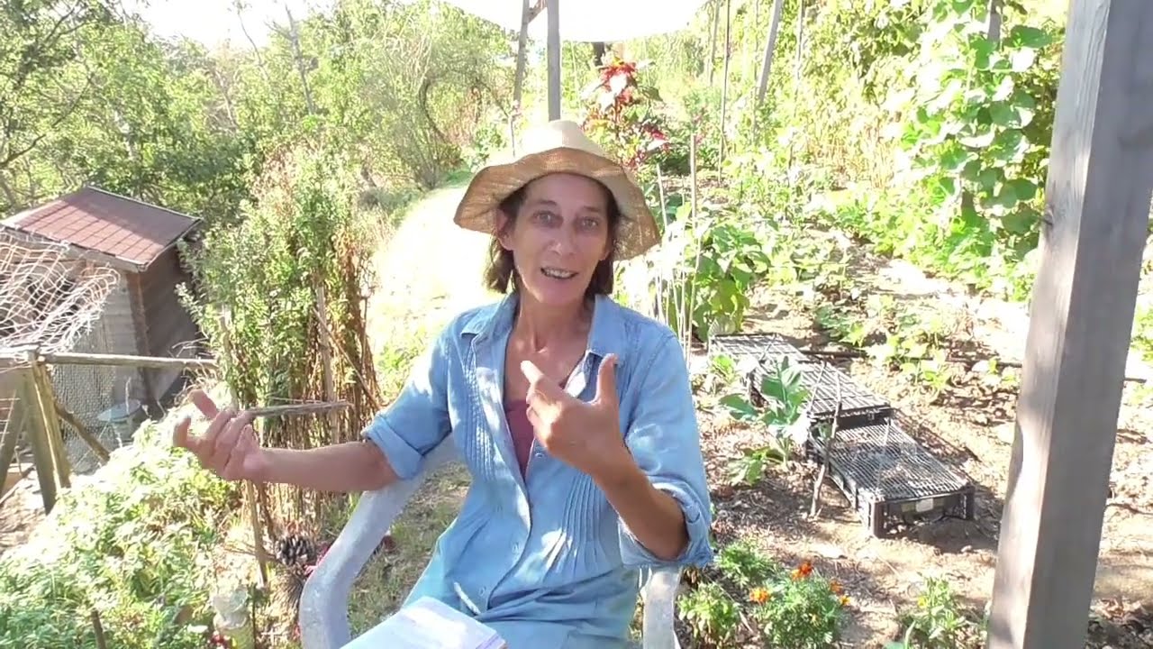Il bambù in giardino si o no?