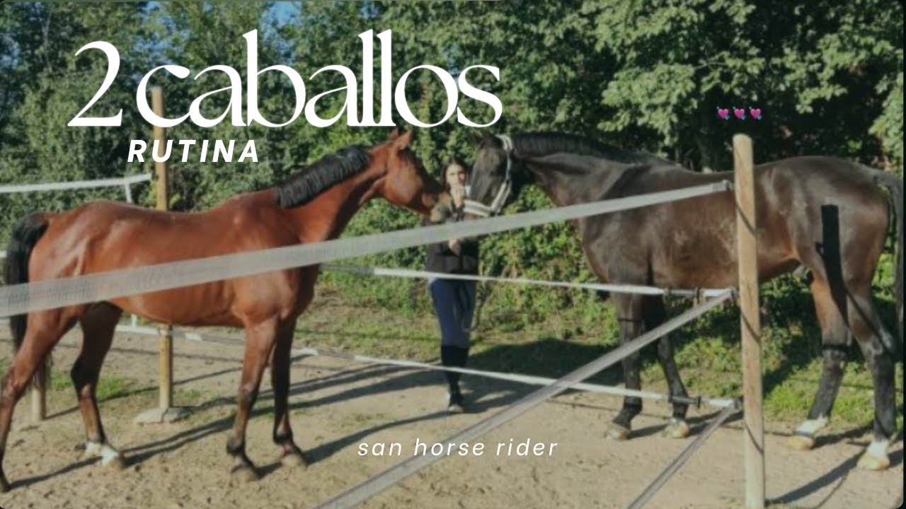 Un día en la hípica con dos caballos | paseo al campo | salto 1’20