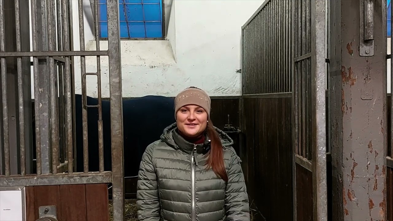 Reitlehrgang Trainer C auf dem haupt-und Landgestüt Neustadt (Dosse)