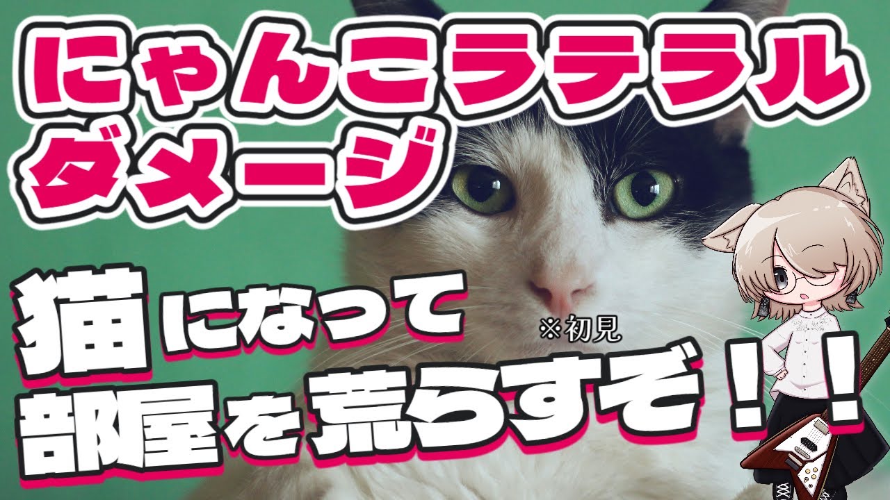 猫として部屋を荒らすゲーム【にゃんこラテラル・ダメージ】