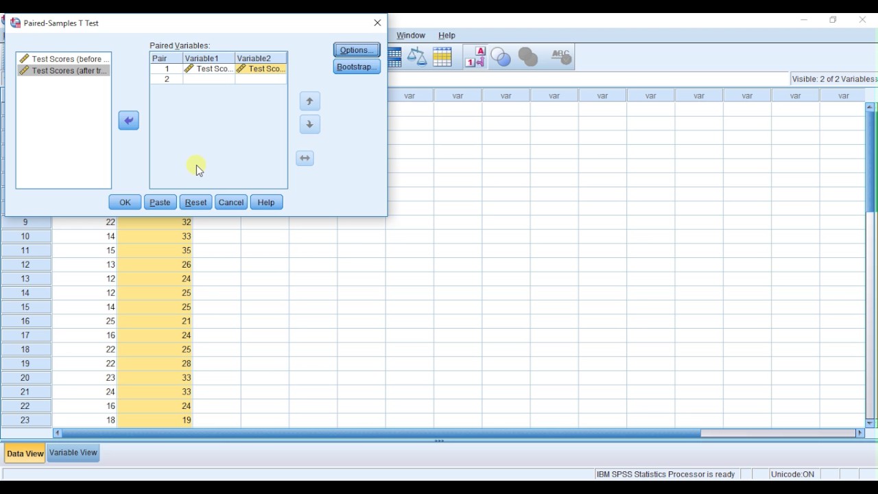 SPSSisFun: Repeated Measures T-test