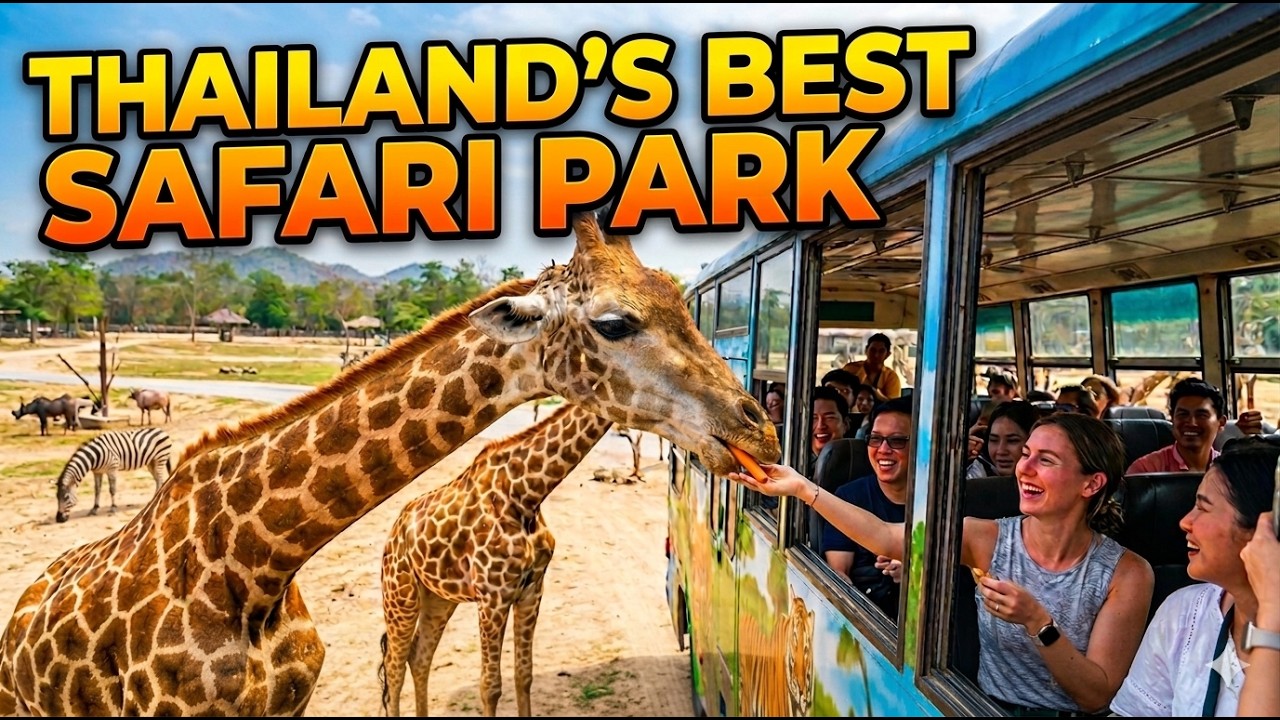 Safari Park Kanchanaburi, feed the giraffes & Get close to the animals. Safari Park Open Zoo