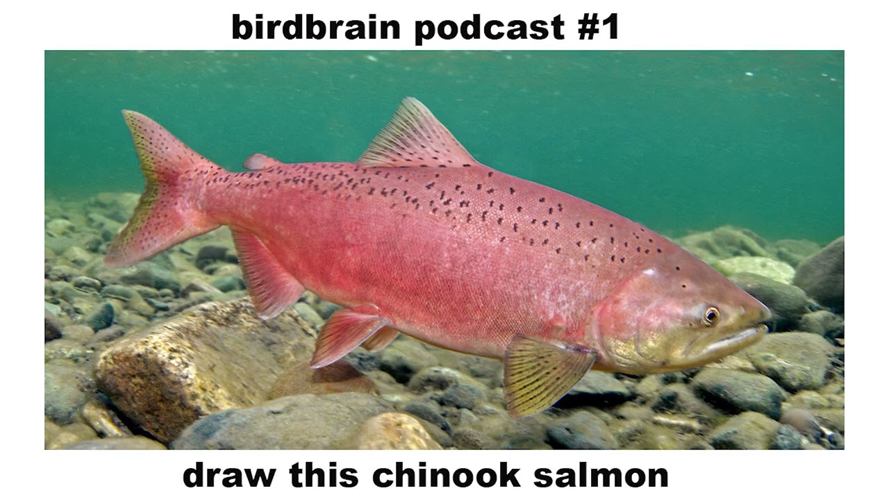 Birdbrain Art Talk Podcast Episode 1