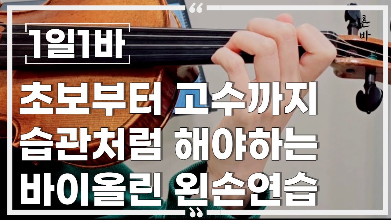 [1일1바]💛먼저 할수록 무조건 좋음. 바이올린 **무소음**왼손연습 💛