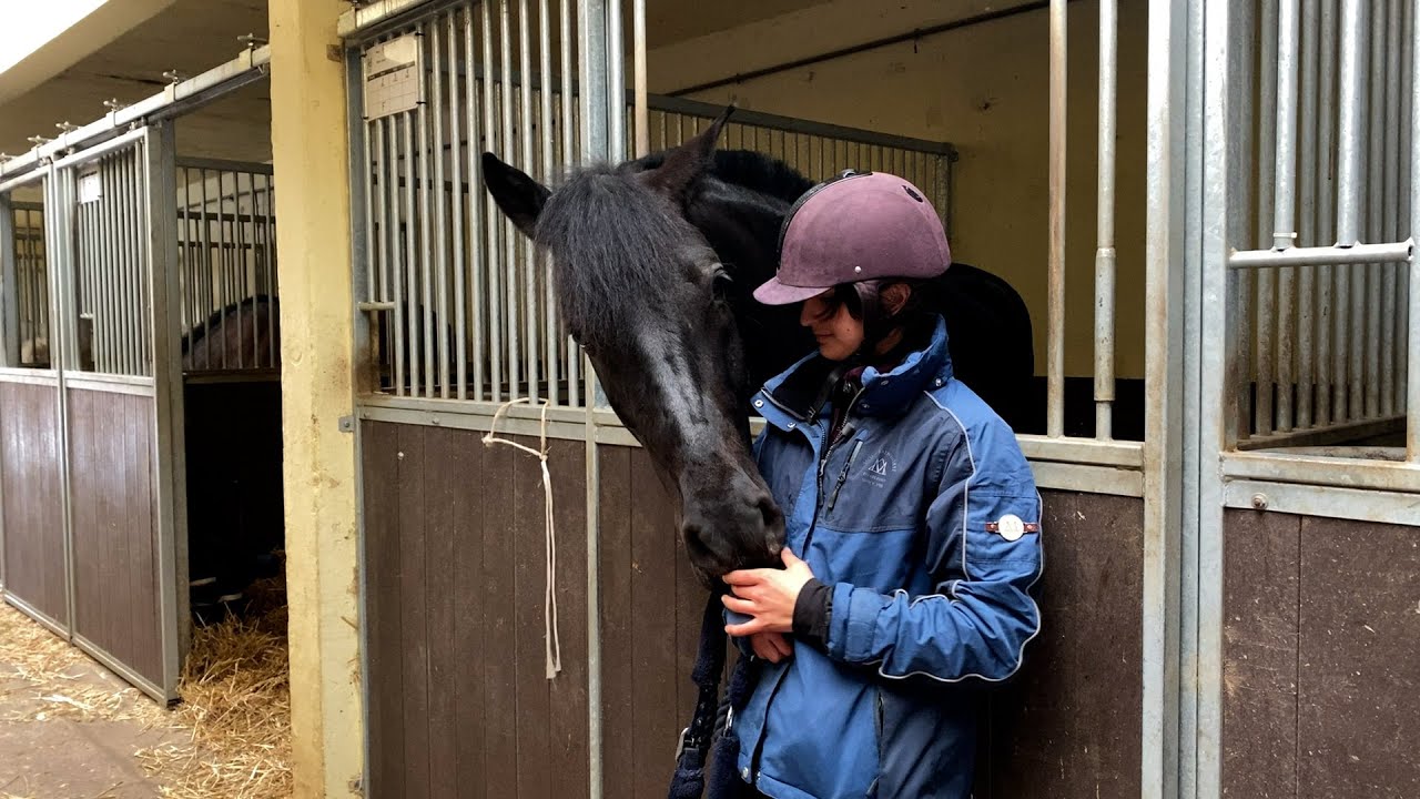Rencontre avec Chiara Zenati, cavalière para-dressage aux Jeux de Tokyo