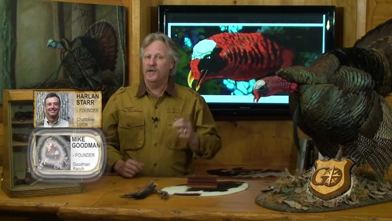 The Ultimate Turkey Hunting Setup by Global Outfitters