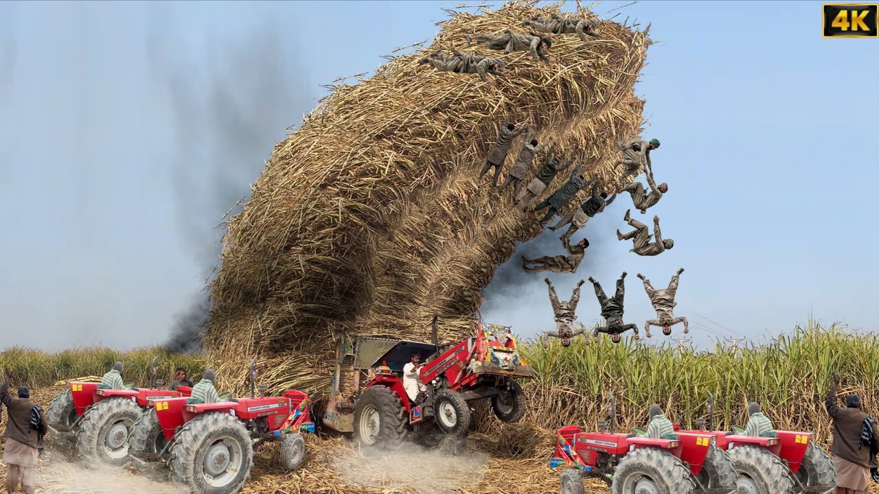 Massey Ferguson 385 Tractor Unbelievable Power Test | Alghazi Tractor Extreme Power | 4k Ultra HD