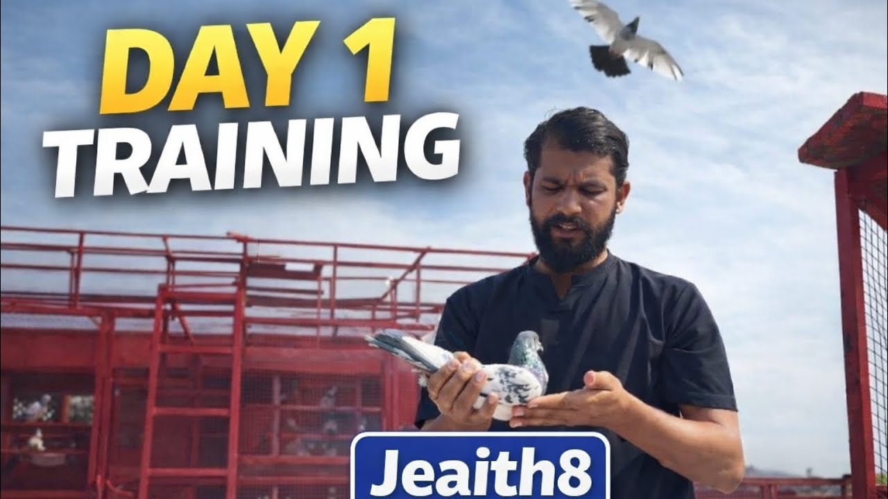 Day 1  Jeaith Training Start 