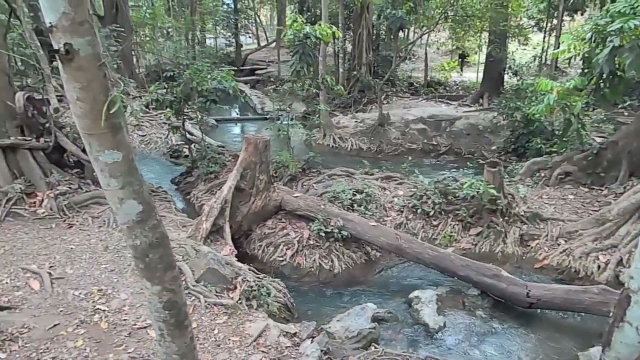 น้ำผุดทับลาว น้ำผุดนาเลา ตาน้ำธรรมชาติ สถานที่ท่องเที่ยวของจังหวัดชัยภูมิ