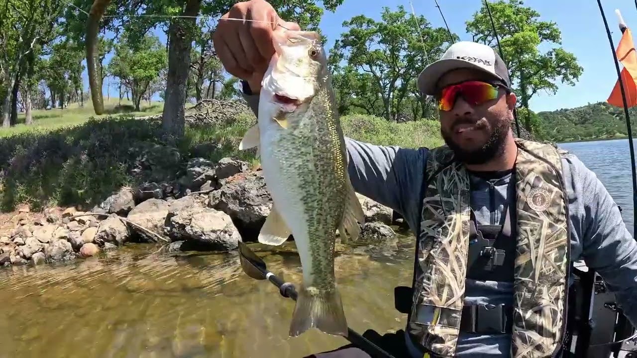 20+ Bass on Lake Berryessa in My Hobie Outback! | No Fish Finder, Just Pure Fun! 🎣🏆