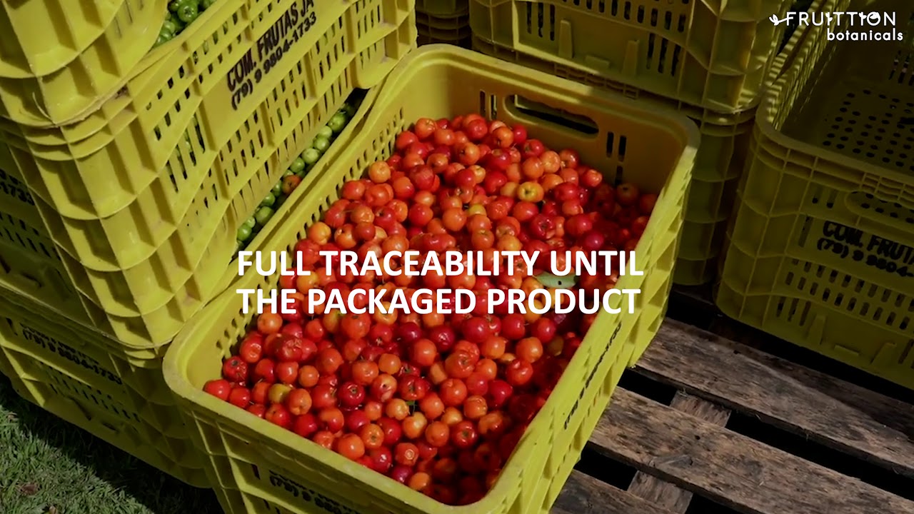 Acerola: Natural source of vitamin C | Duas Rodas