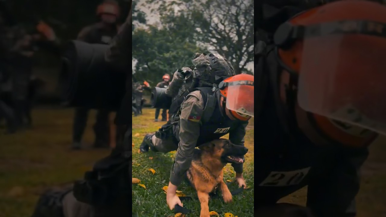 9&ordm; Curso de Especializa&ccedil;&atilde;o em Cinotecnia da Brigada Militar #bmrs #policia #k9 #cao #cachorro