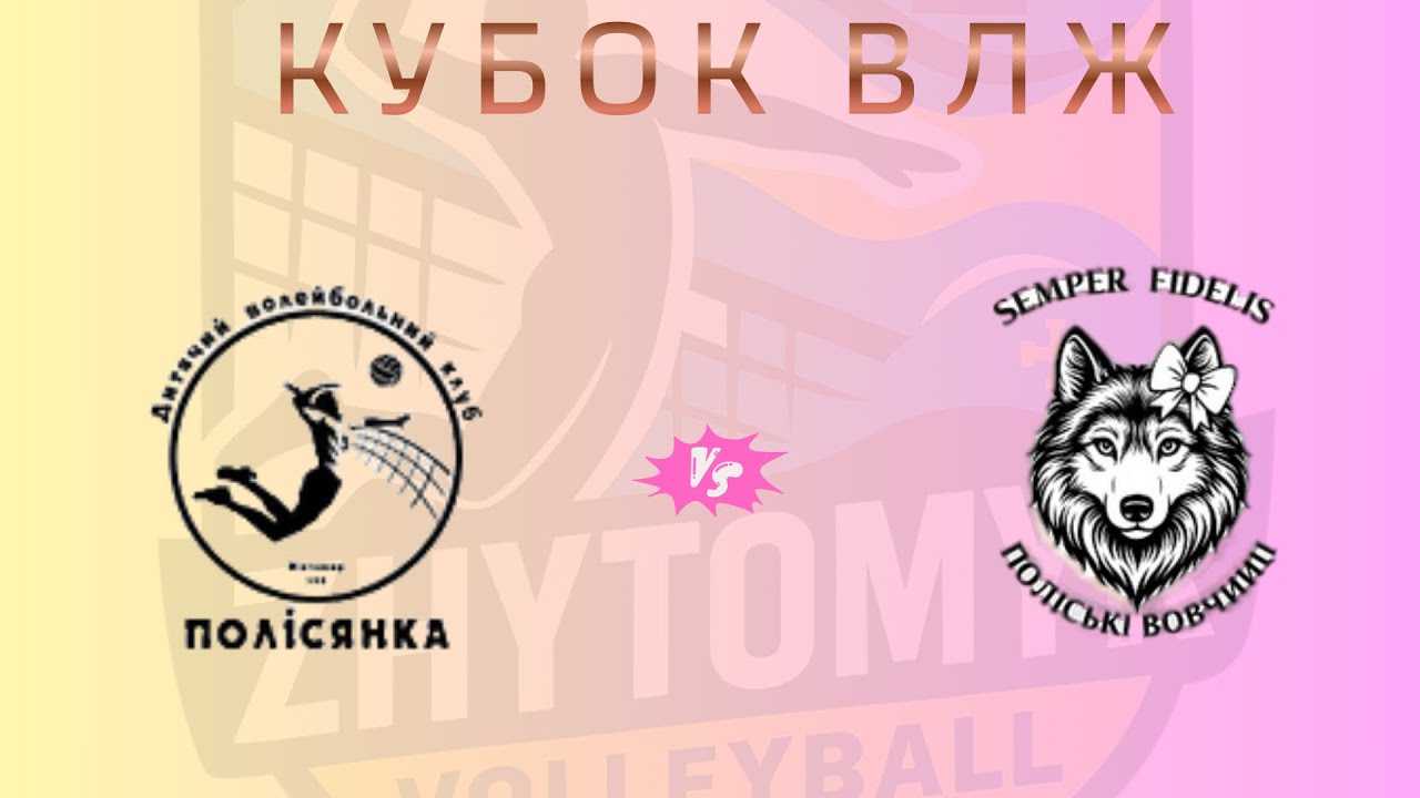 Кубок ЖВЛ * ДВК Полісянка vs ЖВК Поліські вовчиці