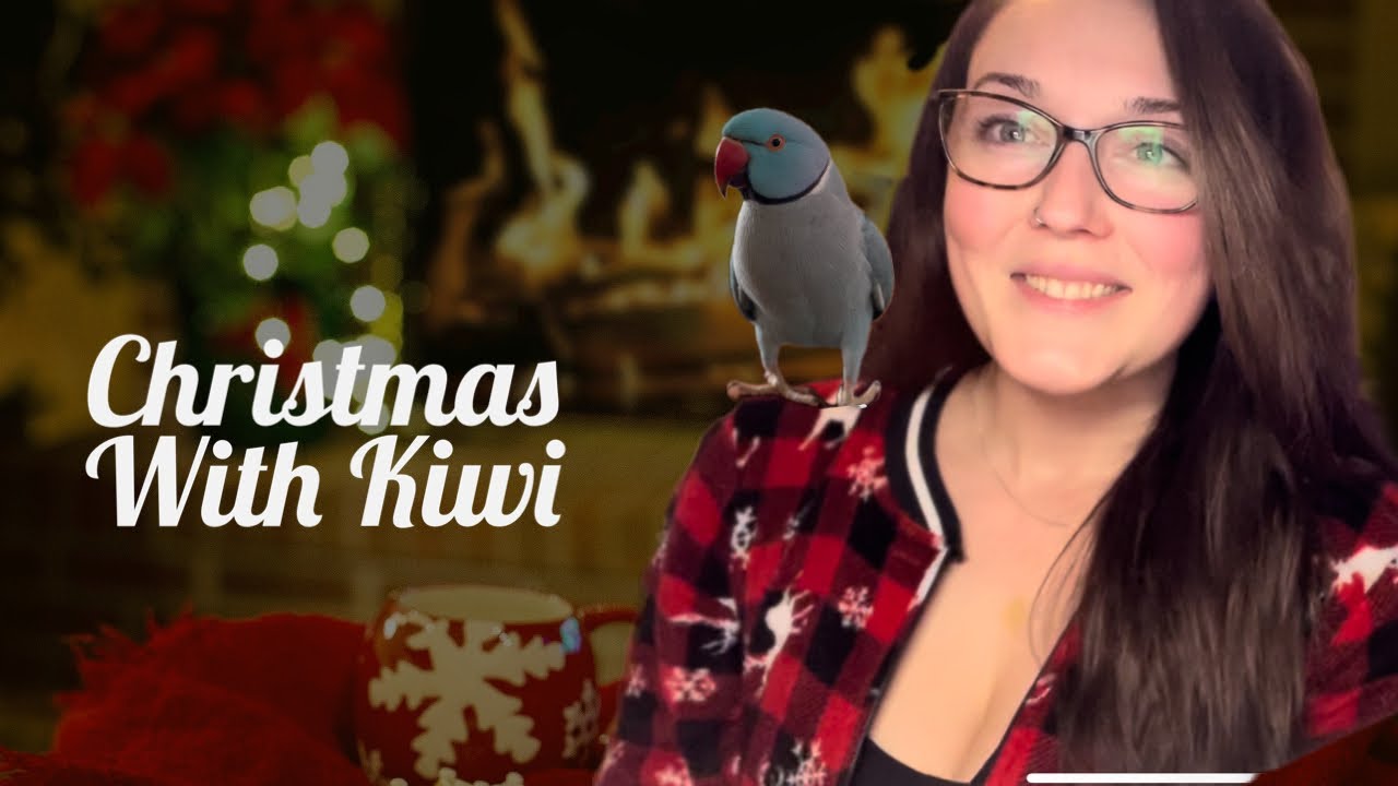 Kiwi’s On The Nice List This Christmas🎁🥹