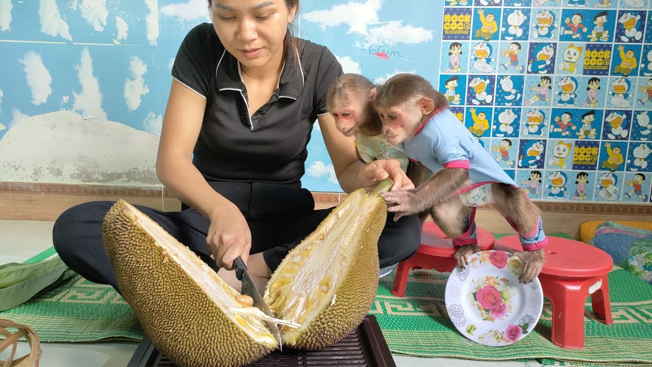 Mimi Kuku happily shouted when she received the giant fruit